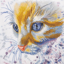 голубоглазка