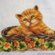 Схема вышивки «рыженький»