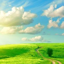 Схема вышивки «Полевая дорога»