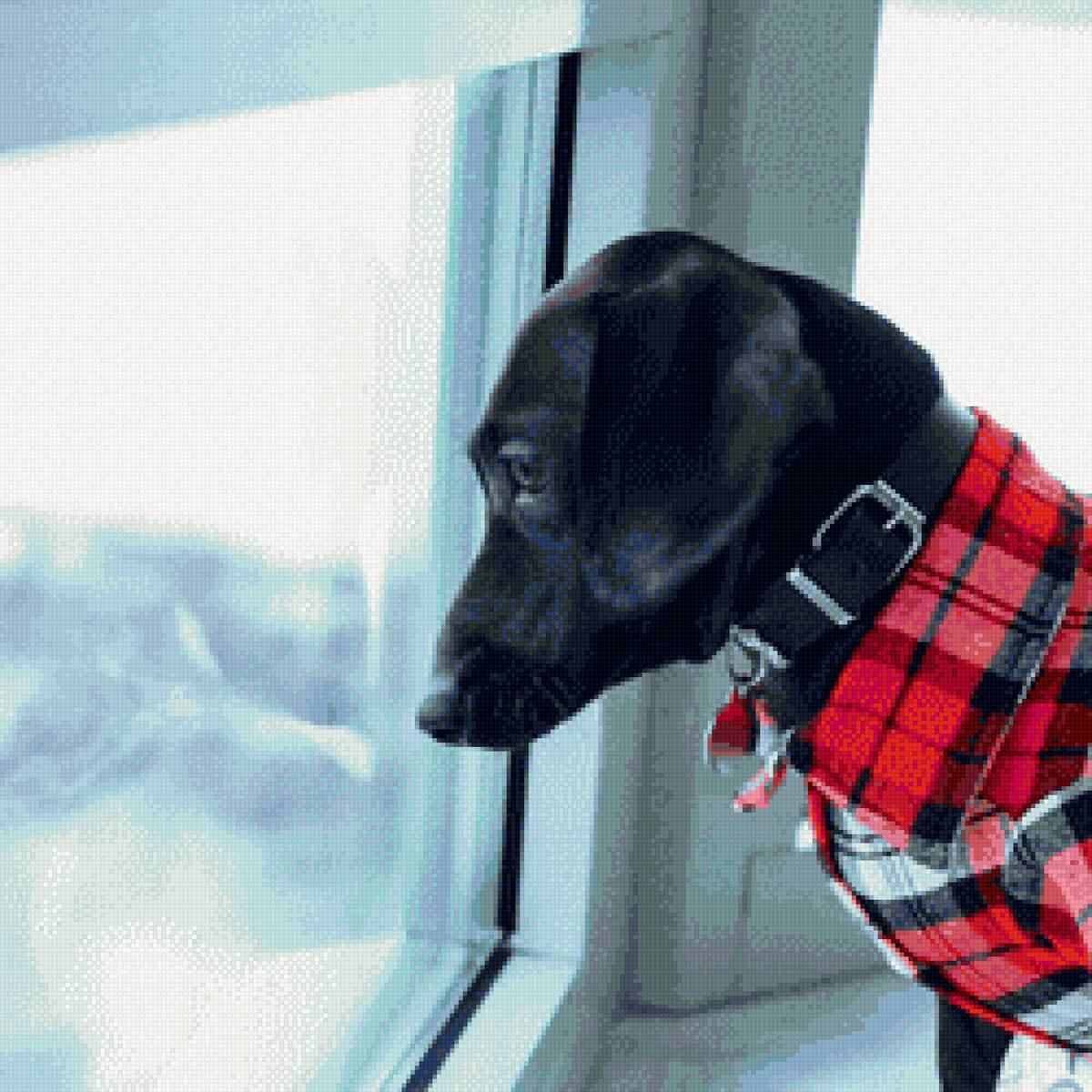 Такса Фиби_3 - такса - предпросмотр