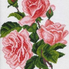 розовый букет