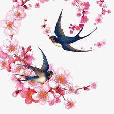 Схема вышивки «ласточки»