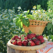 Схема вышивки «Клубника№2»