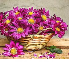 Схема вышивки «№2114529»