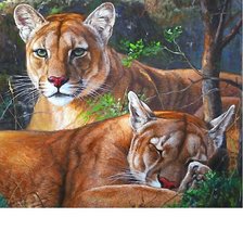 Схема вышивки «№2114531»