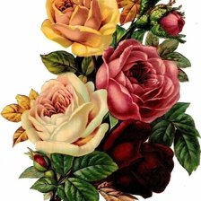 Схема вышивки «Цветы»