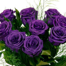 Схема вышивки «Фиолетовые розы»