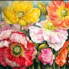 Схема вышивки «Маки»