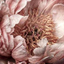 Схема вышивки «Цветок»