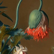 Схема вышивки «ЯН ВАН ХЕЙСУМ.БУКЕТ ЦВЕТОВ В ТЕРРАКОТОВОЙ ВАЗЕ С ГНЕЗДОМ-7»