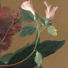 Схема вышивки «ЯН ВАН ХЕЙСУМ.БУКЕТ ЦВЕТОВ В ТЕРРАКОТОВОЙ ВАЗЕ С ГНЕЗДОМ-12»