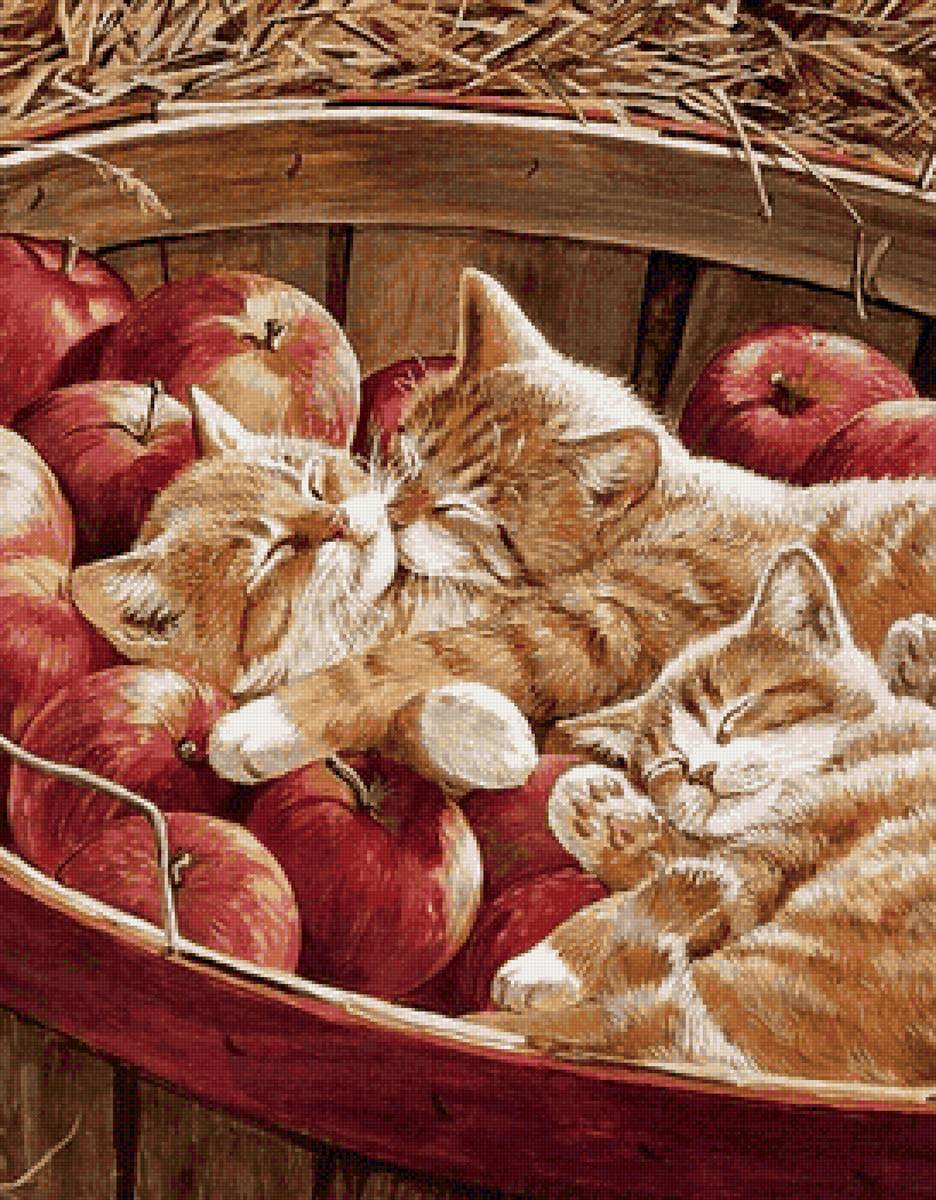 Котята - котята, животные - предпросмотр