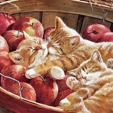 Схема вышивки «Котята»