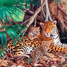 Схема вышивки «Леопарды»