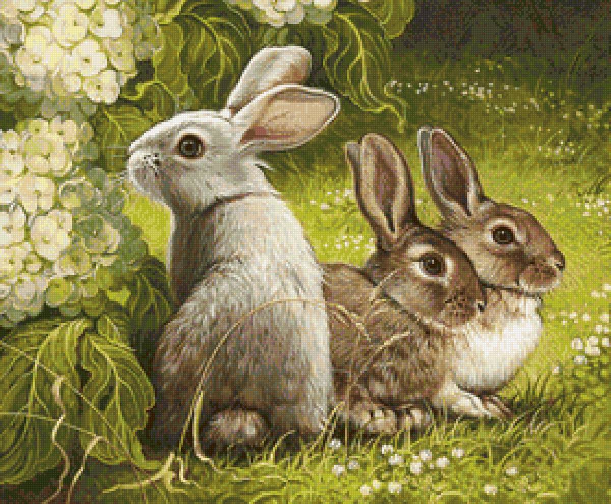 №2115980 - зверьки, зайцы, животные - предпросмотр