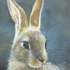 Схема вышивки «№2115983»