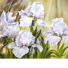 Схема вышивки «Серия "Ирисы"»