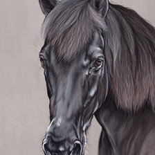 Схема вышивки «№2116065»