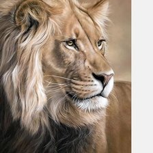 Схема вышивки «№2116074»