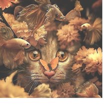 Схема вышивки «№2116269»