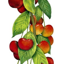 Схема вышивки «Черешня»