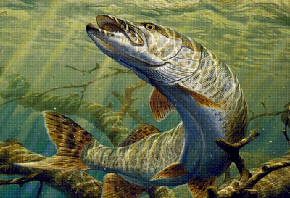 подводный мир - предпросмотр