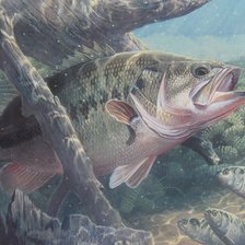 Схема вышивки «подводный мир»