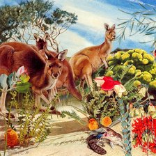 Схема вышивки «Кенгуру»