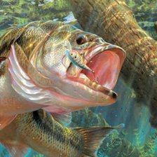 Схема вышивки «подводный мир»