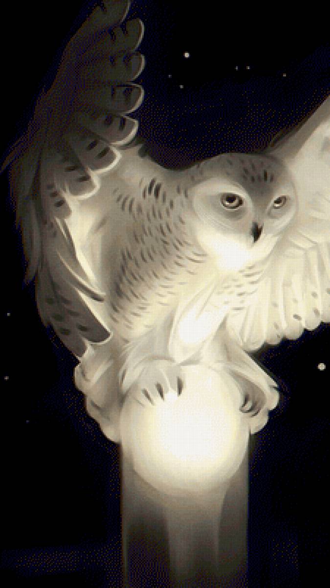 Сова - птица, сова - предпросмотр