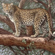 Схема вышивки «№2116620»