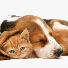 Схема вышивки «друзья»