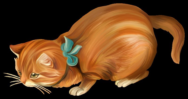 кошка - бантик, кошка - оригинал