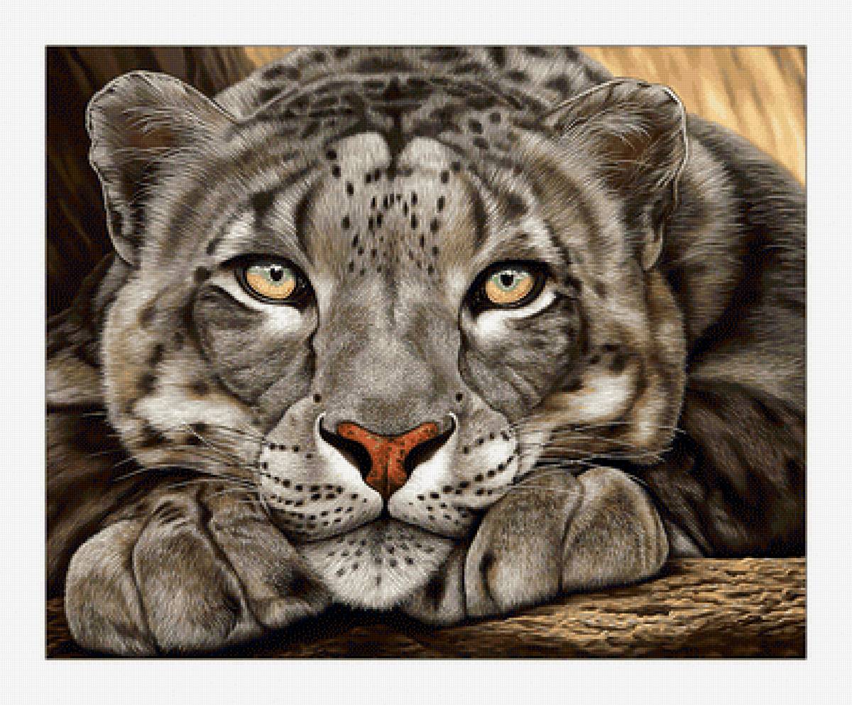 Барс. - взгляд, животные, хищник, живопись, барс, кошка - предпросмотр