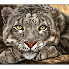 Схема вышивки «Барс.»