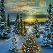 Схема вышивки «в лесу родилась елочка»