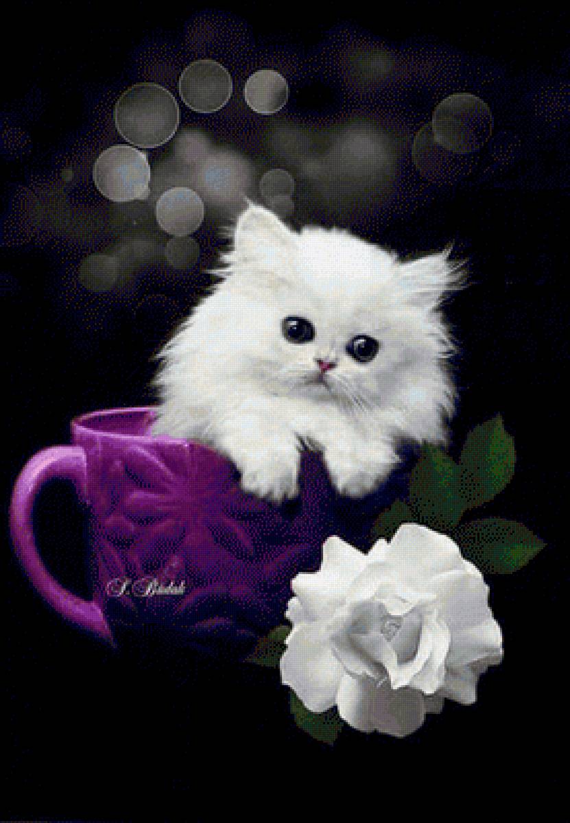 Котенятко - тварини, котеня - предпросмотр