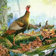 Схема вышивки «Птицы»