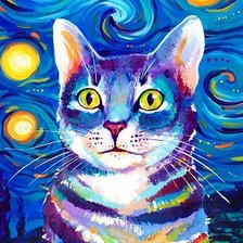 цветной кот