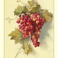 Схема вышивки «№2117788»