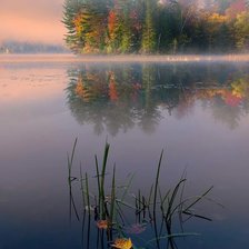 Схема вышивки «№2117925»