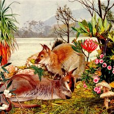 Схема вышивки «Кенгуру»