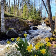 Схема вышивки «Природа»