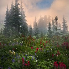 Схема вышивки «Природа»