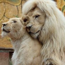 Схема вышивки «Животный мир»