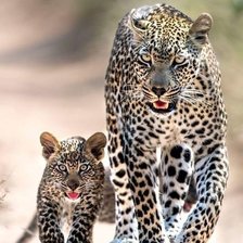 Схема вышивки «Природа»