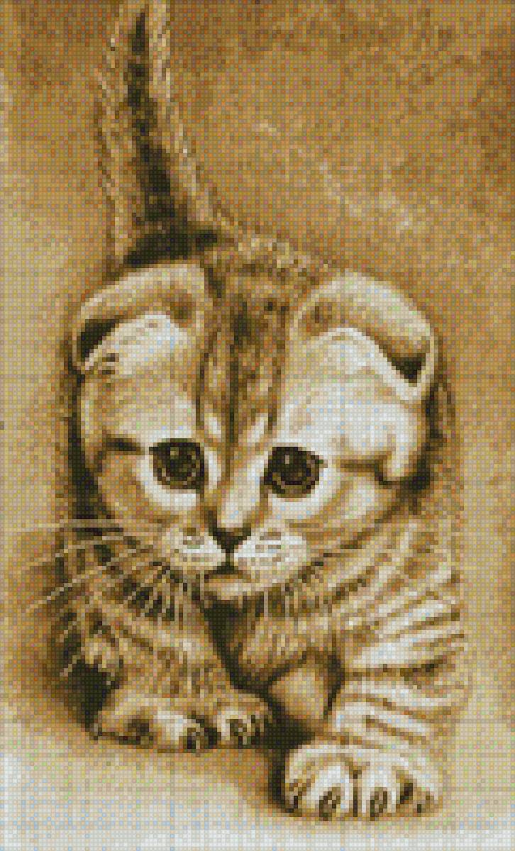 котенок - котята - предпросмотр