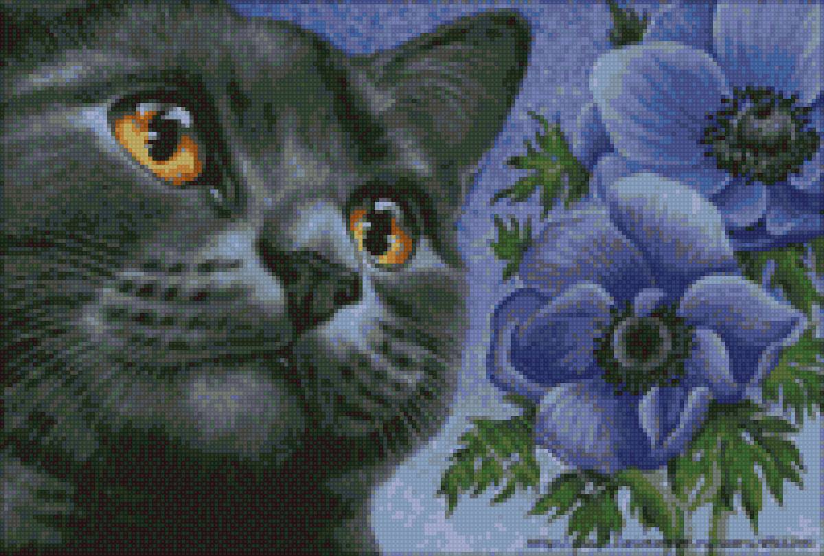 кот с орхидеей - коты - предпросмотр