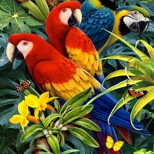 Схема вышивки «птицы»