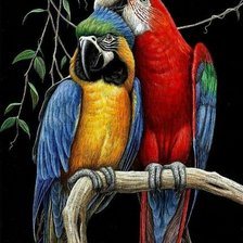 Схема вышивки «птицы»